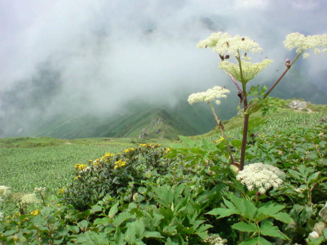 20090806104632.jpg