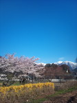 2011-04-24 07.12.42.jpg