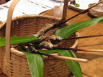 20110830 001.jpg